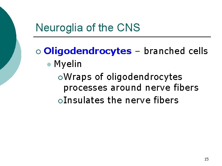 Neuroglia of the CNS ¡ Oligodendrocytes – branched cells l Myelin ¡ Wraps of