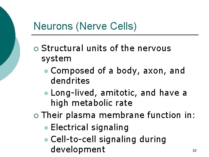 Neurons (Nerve Cells) Structural units of the nervous system l Composed of a body,