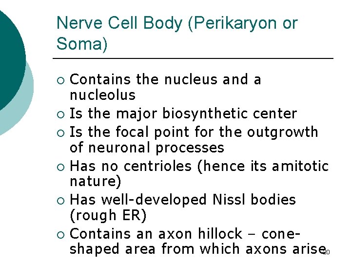 Nerve Cell Body (Perikaryon or Soma) Contains the nucleus and a nucleolus ¡ Is