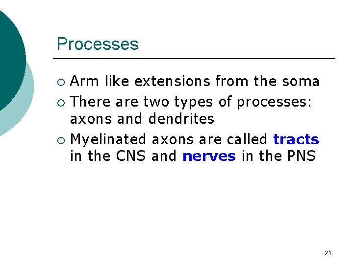 Processes Arm like extensions from the soma ¡ There are two types of processes: