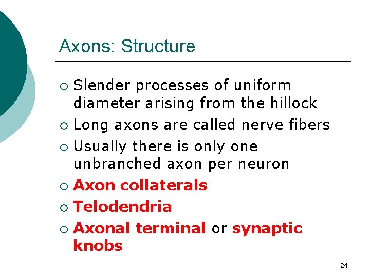Axons: Structure Slender processes of uniform diameter arising from the hillock ¡ Long axons