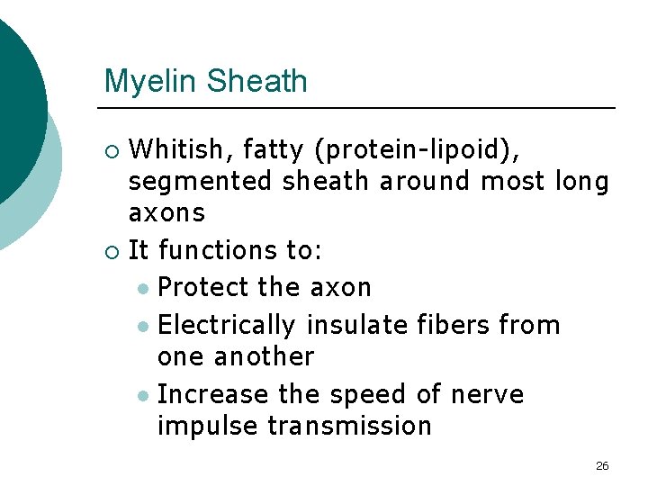 Myelin Sheath Whitish, fatty (protein-lipoid), segmented sheath around most long axons ¡ It functions