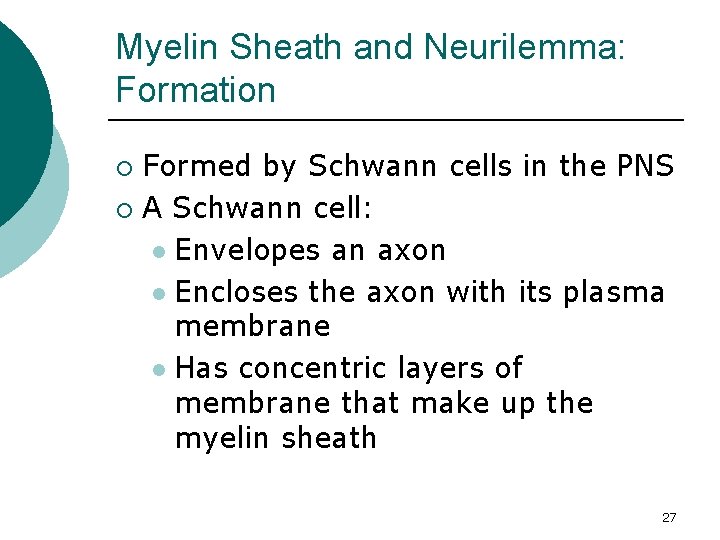 Myelin Sheath and Neurilemma: Formation Formed by Schwann cells in the PNS ¡ A