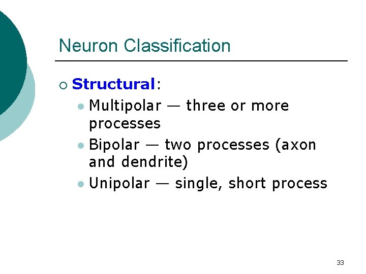 Neuron Classification ¡ Structural: l Multipolar — three or more processes l Bipolar —