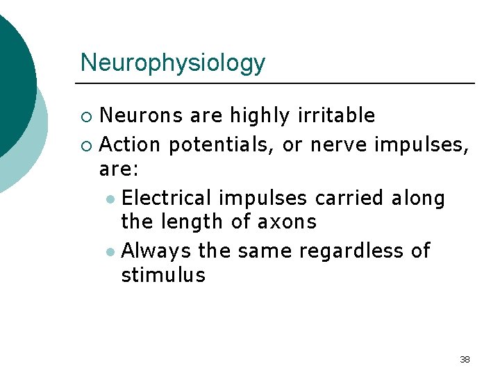 Neurophysiology Neurons are highly irritable ¡ Action potentials, or nerve impulses, are: l Electrical