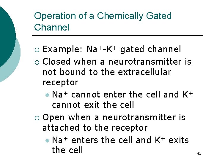 Operation of a Chemically Gated Channel Example: Na+-K+ gated channel ¡ Closed when a