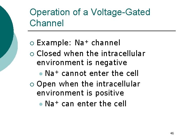 Operation of a Voltage-Gated Channel Example: Na+ channel ¡ Closed when the intracellular environment