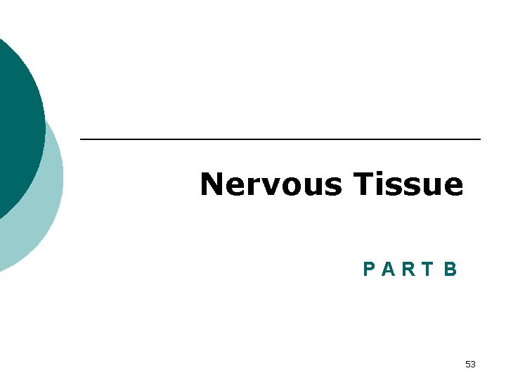 Nervous Tissue Fundamentals P ANervous RT B of the System and Nervous Tissue 53