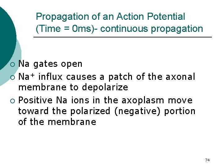 Propagation of an Action Potential (Time = 0 ms)- continuous propagation Na gates open