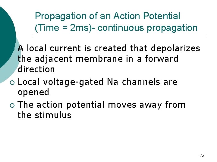 Propagation of an Action Potential (Time = 2 ms)- continuous propagation A local current