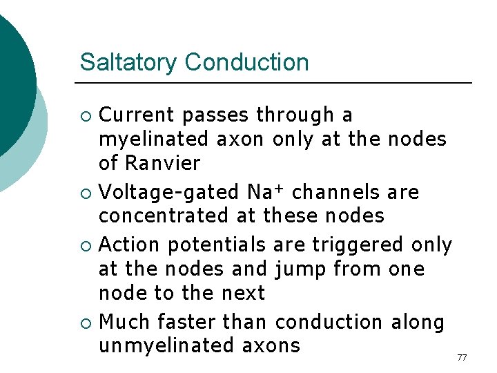 Saltatory Conduction Current passes through a myelinated axon only at the nodes of Ranvier