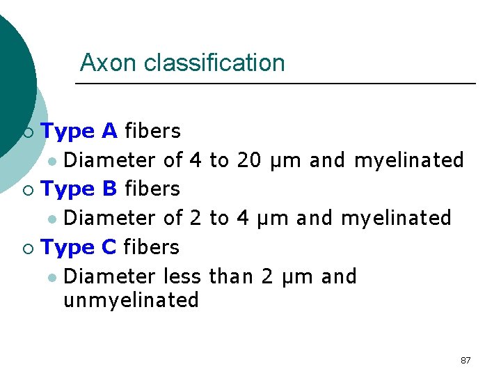 Axon classification Type A fibers l Diameter of 4 to 20 µm and myelinated