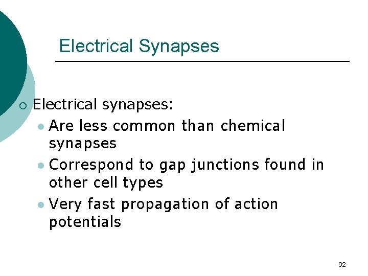 Electrical Synapses ¡ Electrical synapses: l Are less common than chemical synapses l Correspond