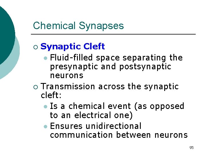Chemical Synapses Synaptic Cleft l Fluid-filled space separating the presynaptic and postsynaptic neurons ¡