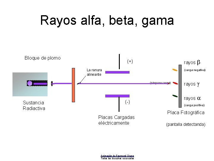 Rayos alfa, beta, gama Bloque de plomo rayos b (+) (carga negativa) La ranura Rayos alfa, beta, gama Bloque de plomo rayos b (+) (carga negativa) La ranura