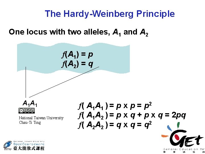 The Hardy-Weinberg Principle One locus with two alleles, A 1 and A 2 f(A