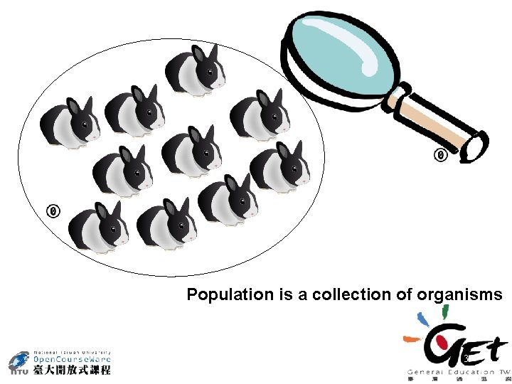 Population is a collection of organisms 3 