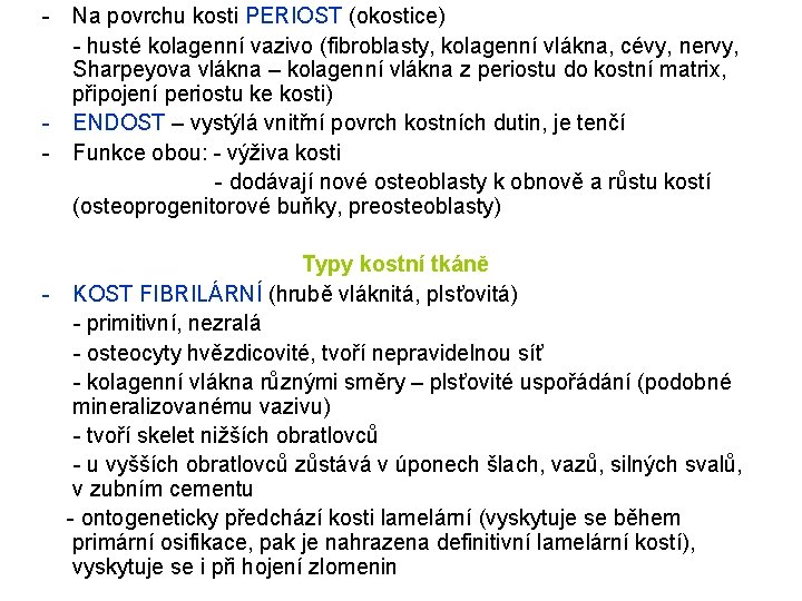 - Na povrchu kosti PERIOST (okostice) - husté kolagenní vazivo (fibroblasty, kolagenní vlákna, cévy,