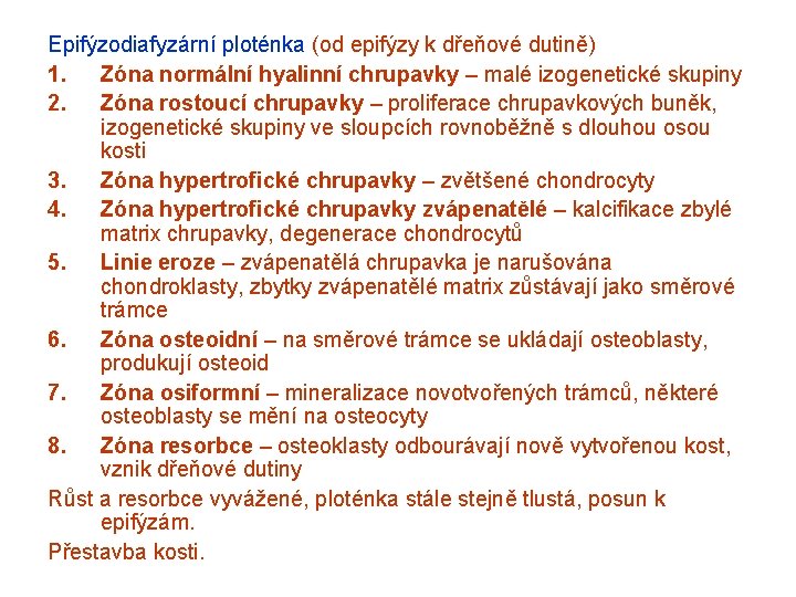 Epifýzodiafyzární ploténka (od epifýzy k dřeňové dutině) 1. Zóna normální hyalinní chrupavky – malé