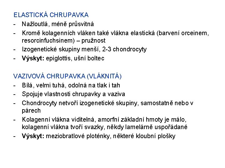 ELASTICKÁ CHRUPAVKA - Nažloutlá, méně průsvitná - Kromě kolagenních vláken také vlákna elastická (barvení
