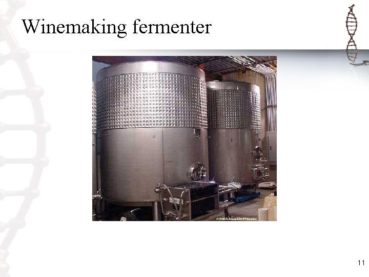 Winemaking fermenter 11 