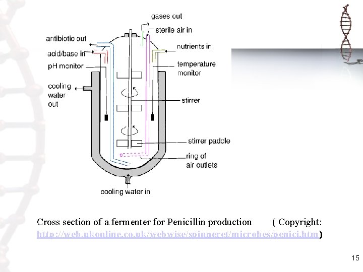 Cross section of a fermenter for Penicillin production ( Copyright: http: //web. ukonline. co.