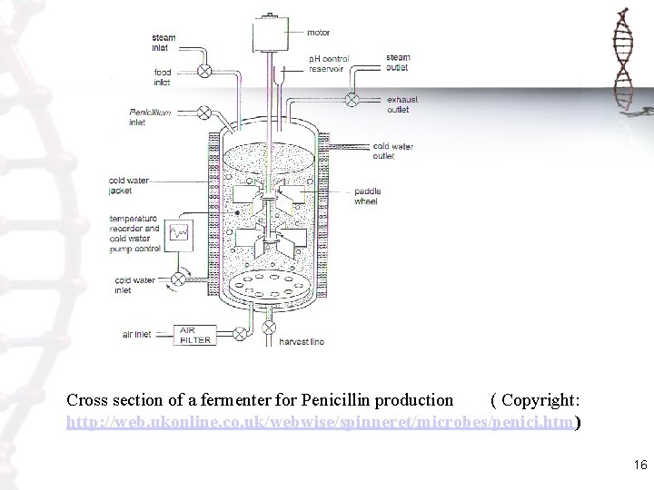 Cross section of a fermenter for Penicillin production ( Copyright: http: //web. ukonline. co.