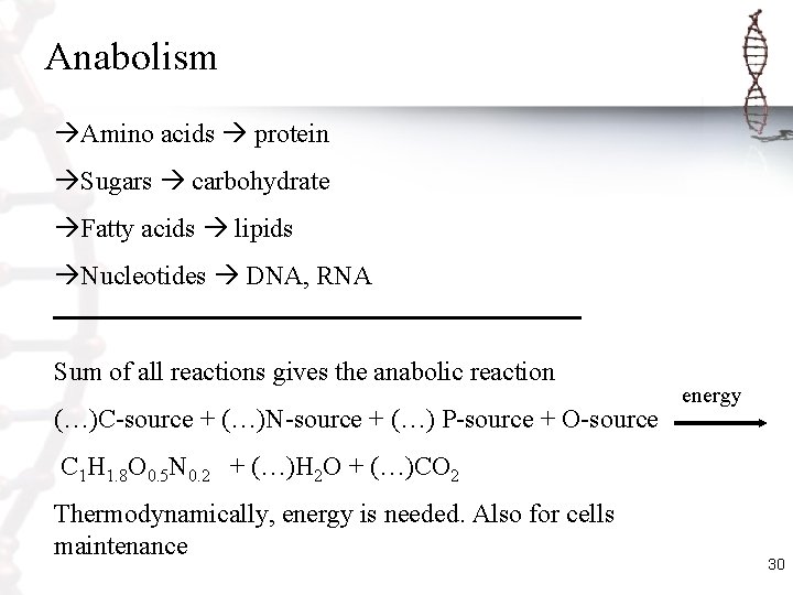 Anabolism Amino acids protein Sugars carbohydrate Fatty acids lipids Nucleotides DNA, RNA Sum of