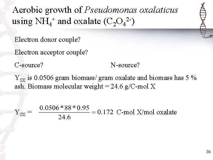 Aerobic growth of Pseudomonas oxalaticus using NH 4+ and oxalate (C 2 O 42