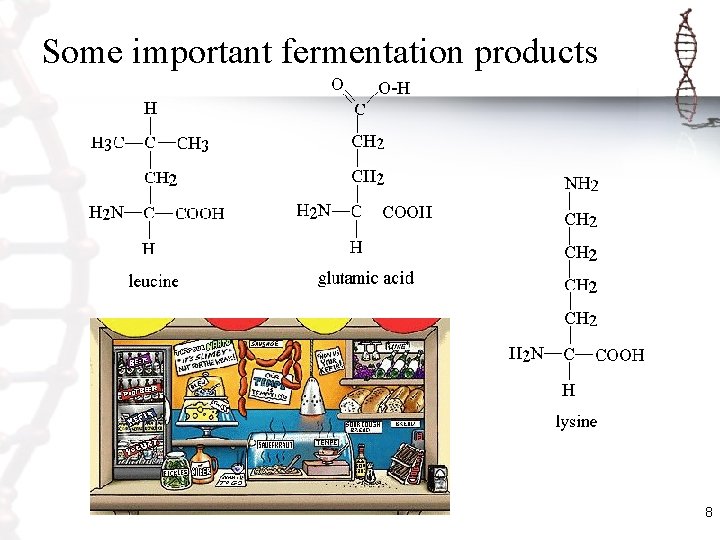 Some important fermentation products 8 