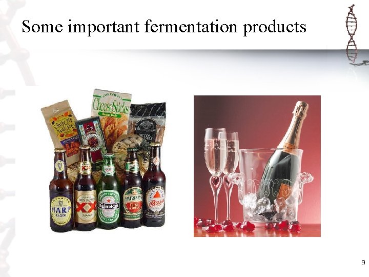 Some important fermentation products 9 