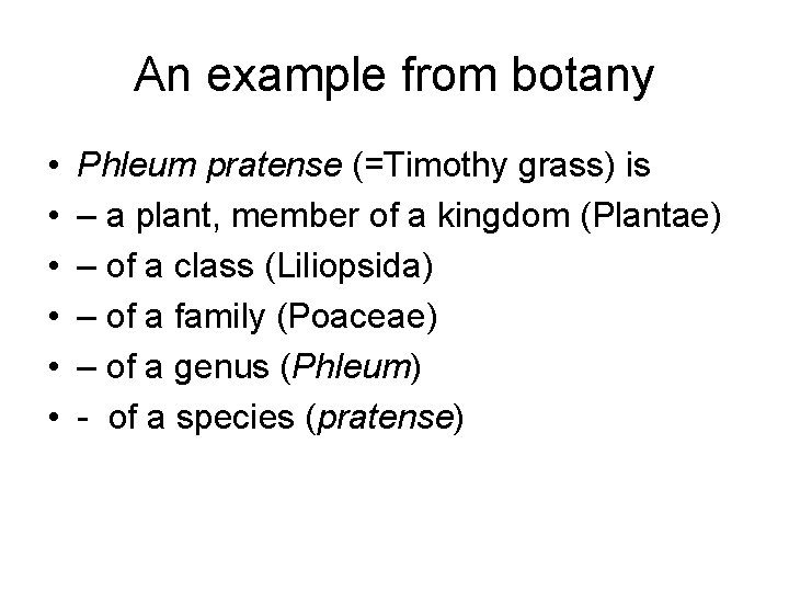 An example from botany • • • Phleum pratense (=Timothy grass) is – a