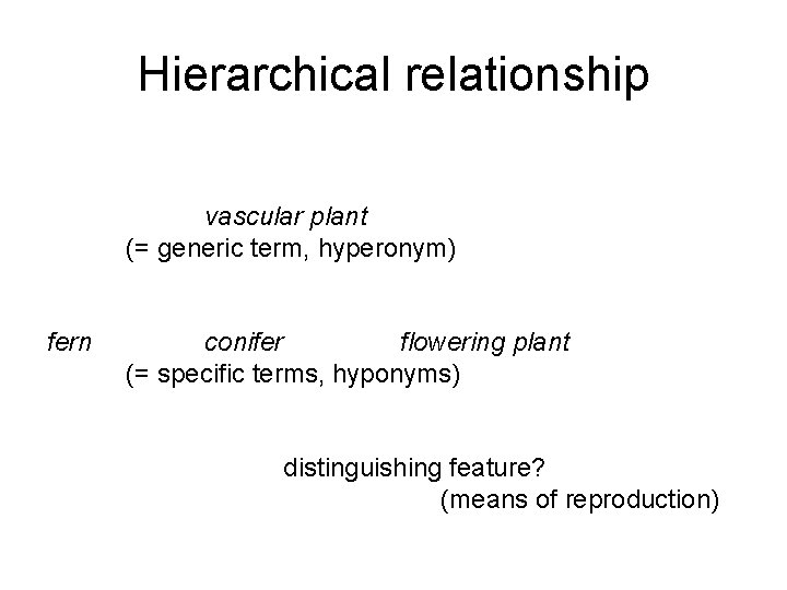 Hierarchical relationship vascular plant (= generic term, hyperonym) fern conifer flowering plant (= specific