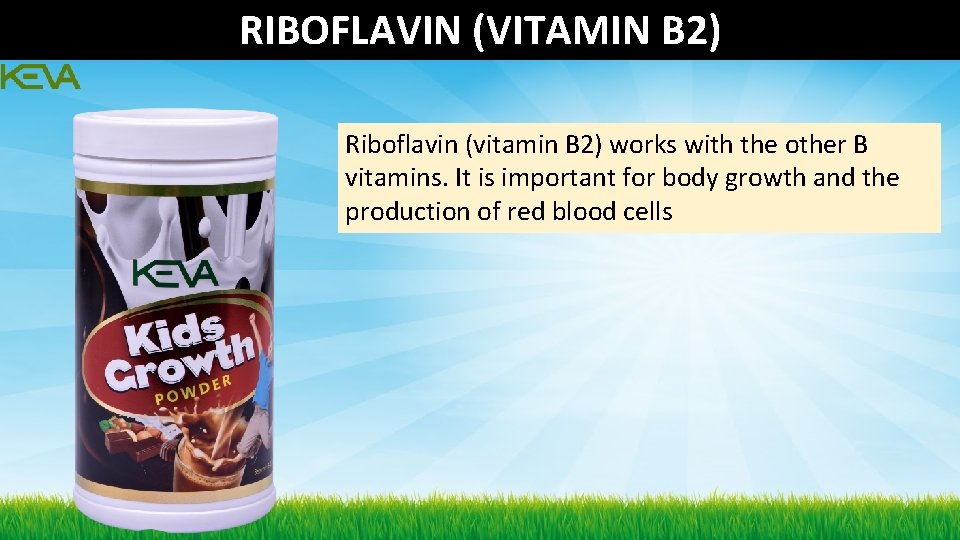 RIBOFLAVIN (VITAMIN B 2) Riboflavin (vitamin B 2) works with the other B vitamins. RIBOFLAVIN (VITAMIN B 2) Riboflavin (vitamin B 2) works with the other B vitamins.