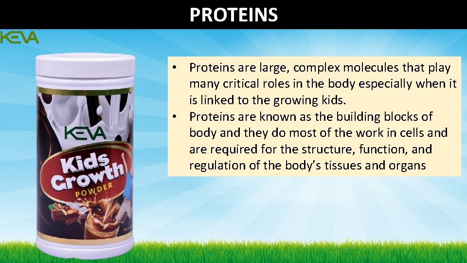 PROTEINS • Proteins are large, complex molecules that play many critical roles in the PROTEINS • Proteins are large, complex molecules that play many critical roles in the