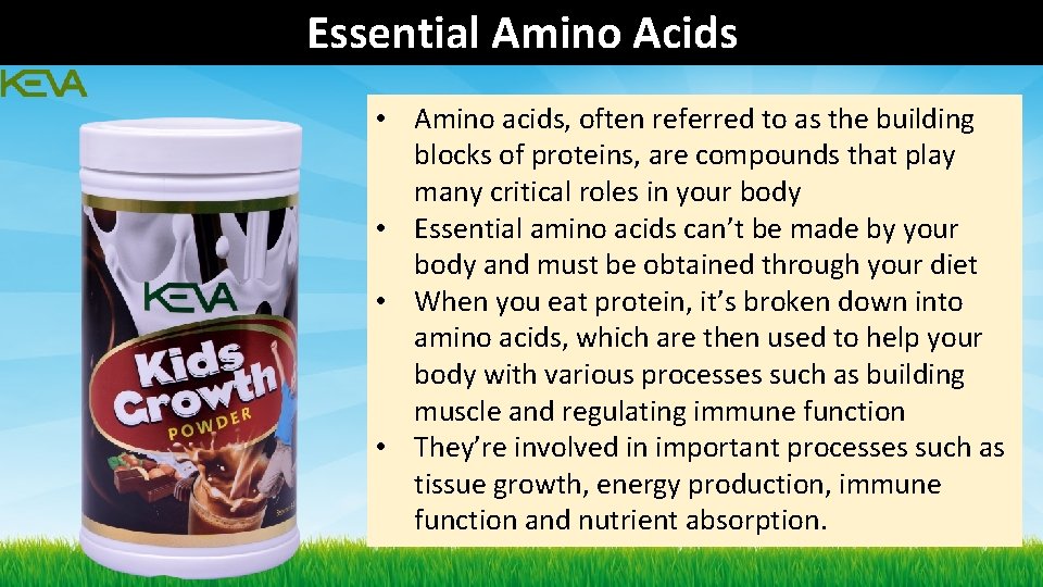 Essential Amino Acids • Amino acids, often referred to as the building blocks of Essential Amino Acids • Amino acids, often referred to as the building blocks of