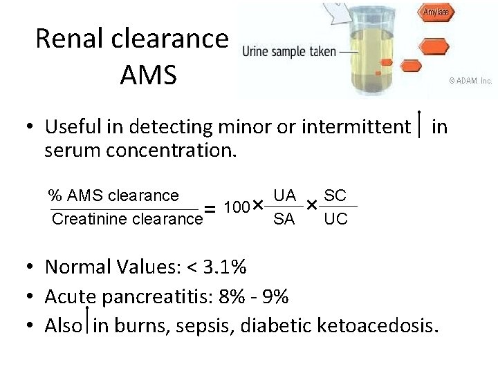 Renal clearance of AMS • Useful in detecting minor or intermittent in serum concentration.