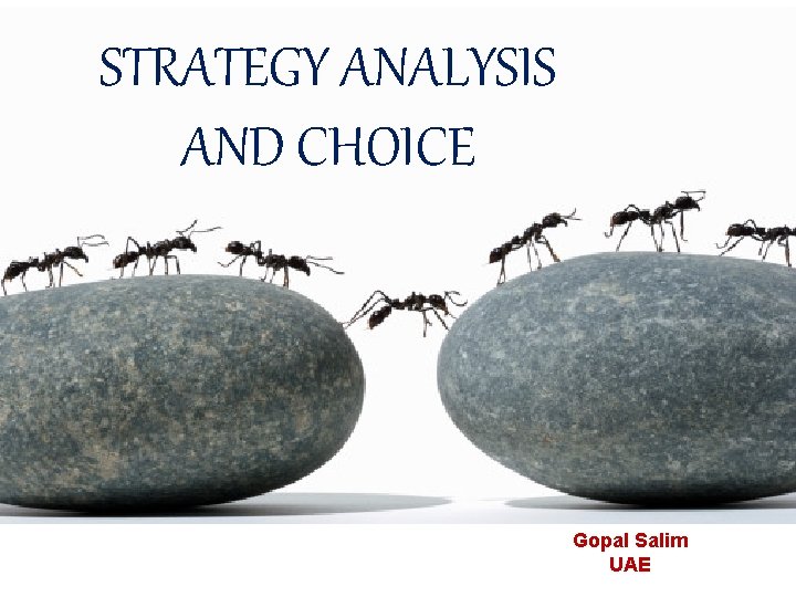 STRATEGY ANALYSIS AND CHOICE Gopal Salim UAE 