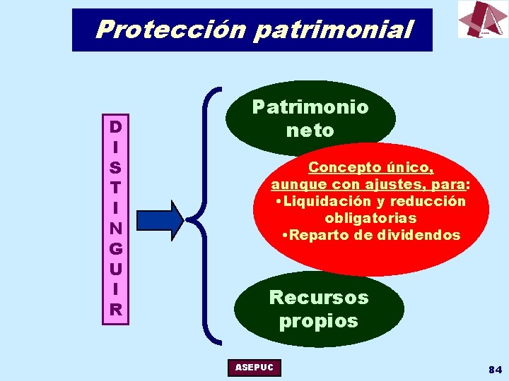 Protección patrimonial D I S T I N G U I R Patrimonio neto