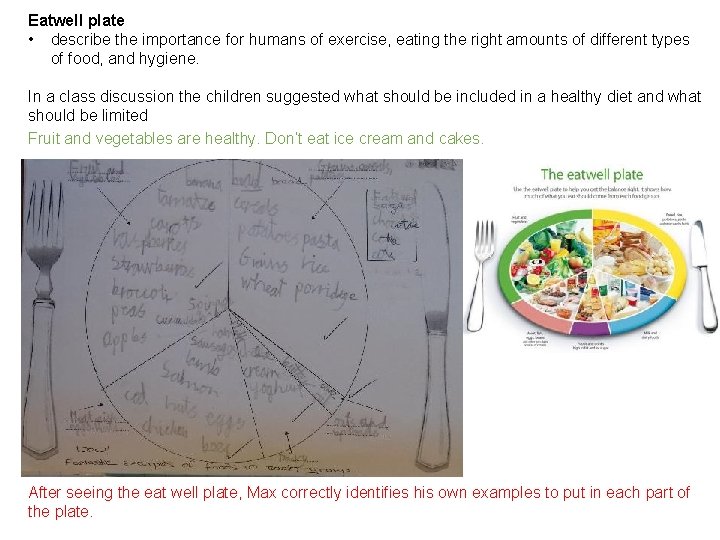 Eatwell plate • describe the importance for humans of exercise, eating the right amounts