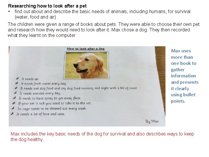 Researching how to look after a pet • find out about and describe the