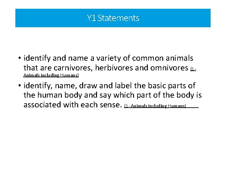 Y 1 Statements • identify and name a variety of common animals that are