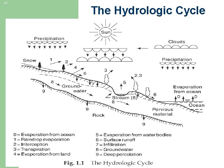 21 The Hydrologic Cycle 