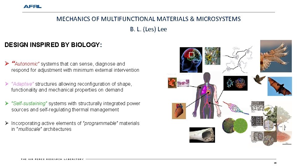 MECHANICS OF MULTIFUNCTIONAL MATERIALS & MICROSYSTEMS B. L. (Les) Lee DESIGN INSPIRED BY BIOLOGY: