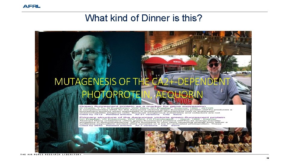 What kind of Dinner is this? MUTAGENESIS OF THE CA 2+-DEPENDENT PHOTOPROTEIN, AEQUORIN 29