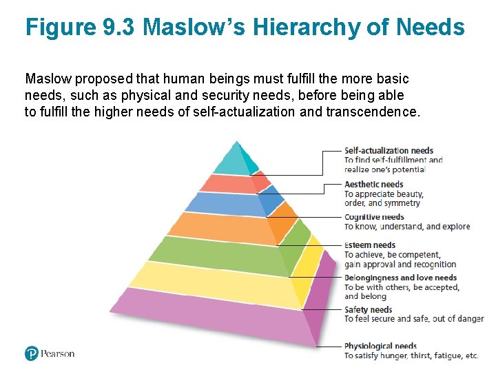 Figure 9. 3 Maslow’s Hierarchy of Needs Maslow proposed that human beings must fulfill