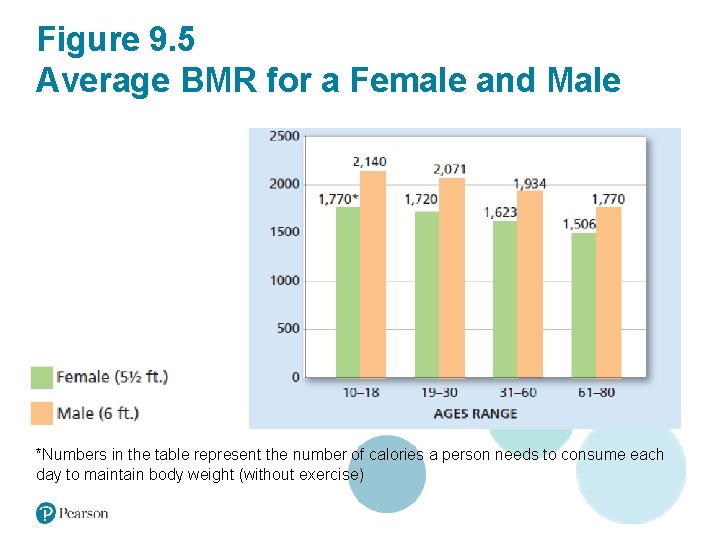 Figure 9. 5 Average BMR for a Female and Male *Numbers in the table