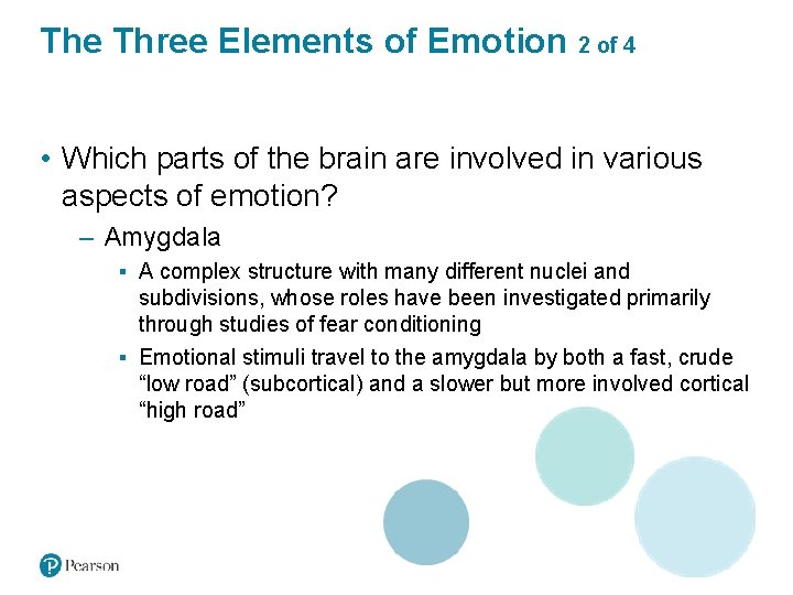 The Three Elements of Emotion 2 of 4 • Which parts of the brain