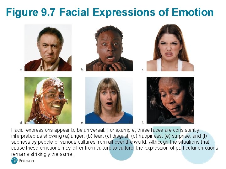 Figure 9. 7 Facial Expressions of Emotion Facial expressions appear to be universal. For