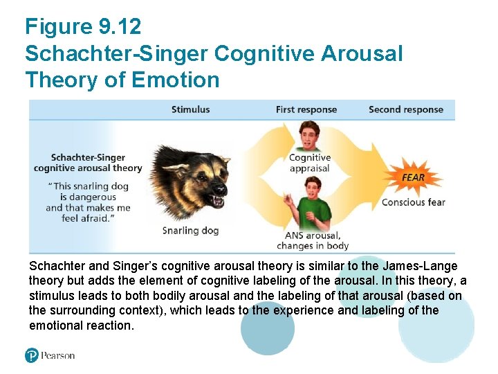 Figure 9. 12 Schachter-Singer Cognitive Arousal Theory of Emotion Schachter and Singer’s cognitive arousal